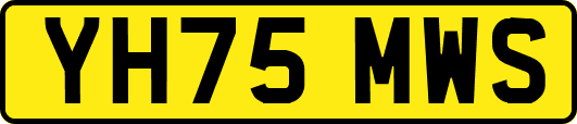 YH75MWS