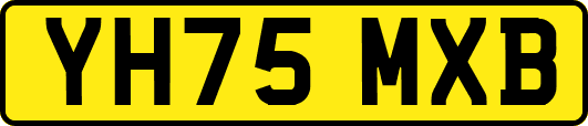 YH75MXB