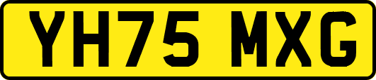 YH75MXG