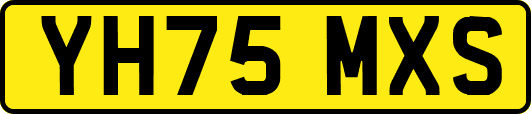 YH75MXS