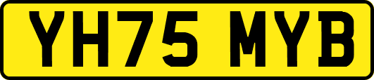 YH75MYB