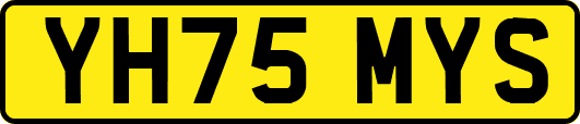 YH75MYS