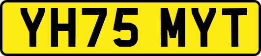 YH75MYT