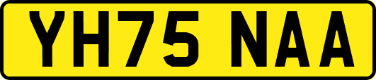 YH75NAA