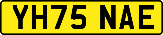 YH75NAE