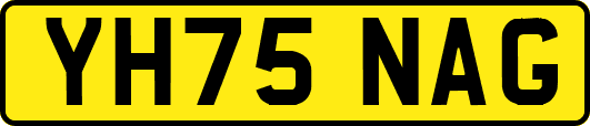 YH75NAG