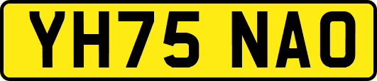 YH75NAO