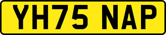 YH75NAP