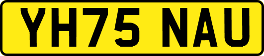 YH75NAU