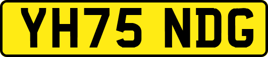 YH75NDG