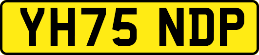 YH75NDP