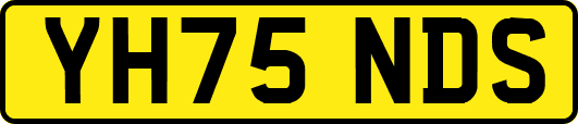 YH75NDS