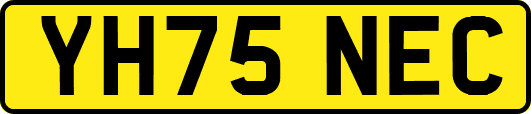 YH75NEC