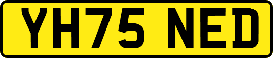 YH75NED