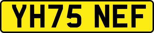 YH75NEF