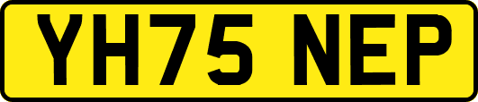 YH75NEP