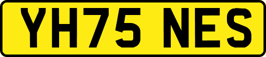 YH75NES