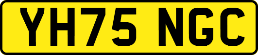 YH75NGC