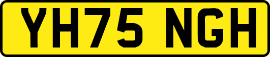 YH75NGH