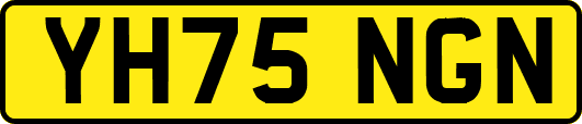 YH75NGN