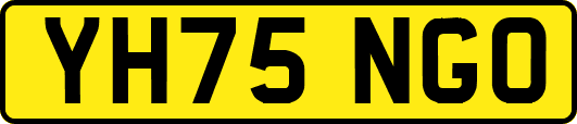 YH75NGO