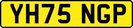 YH75NGP