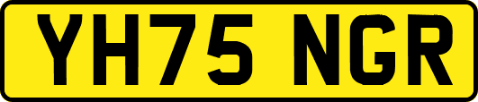 YH75NGR