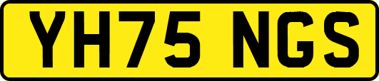 YH75NGS