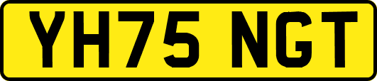 YH75NGT