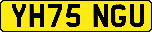 YH75NGU