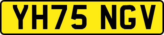 YH75NGV