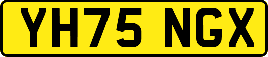 YH75NGX