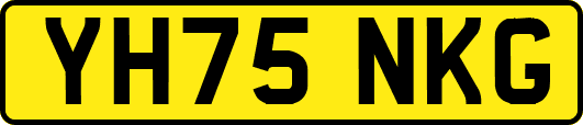YH75NKG