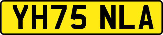 YH75NLA