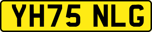 YH75NLG