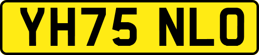 YH75NLO