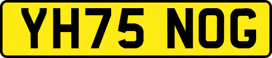 YH75NOG