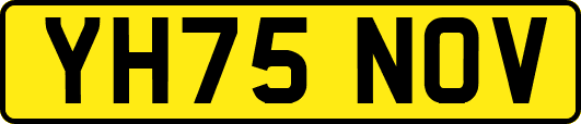 YH75NOV