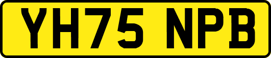 YH75NPB