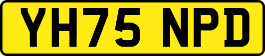 YH75NPD