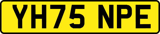 YH75NPE