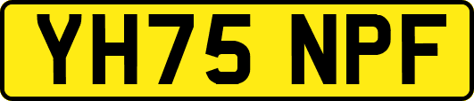 YH75NPF