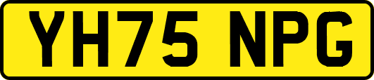 YH75NPG