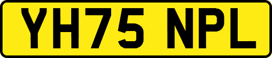 YH75NPL