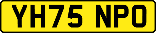 YH75NPO