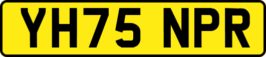 YH75NPR