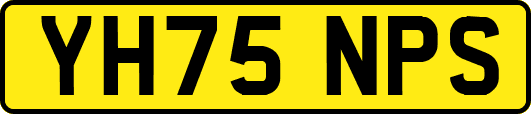 YH75NPS