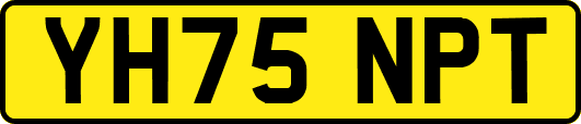 YH75NPT