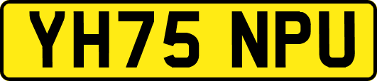 YH75NPU