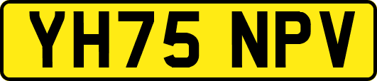 YH75NPV